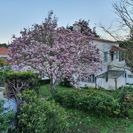 Comfy Sintra Bed & Breakfast Екстериор снимка