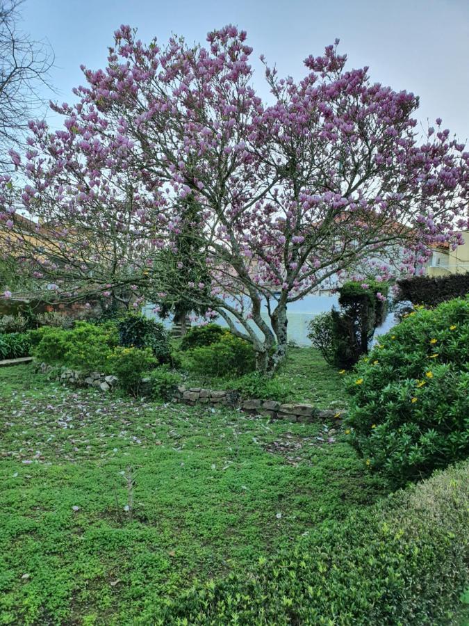 Comfy Sintra Bed & Breakfast Екстериор снимка