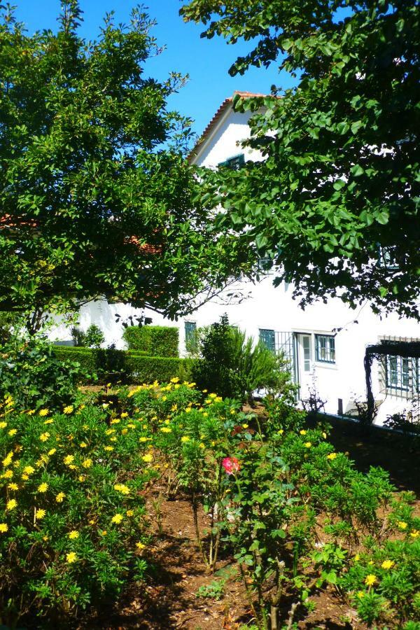 Comfy Sintra Bed & Breakfast Екстериор снимка